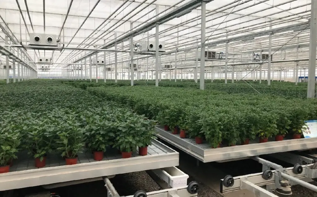 Agri Garden
