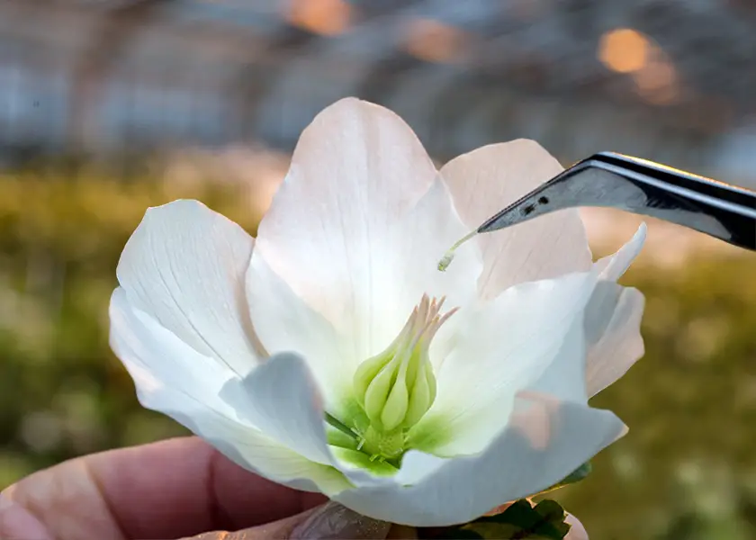 Heuger Gartenbaubetriebe
