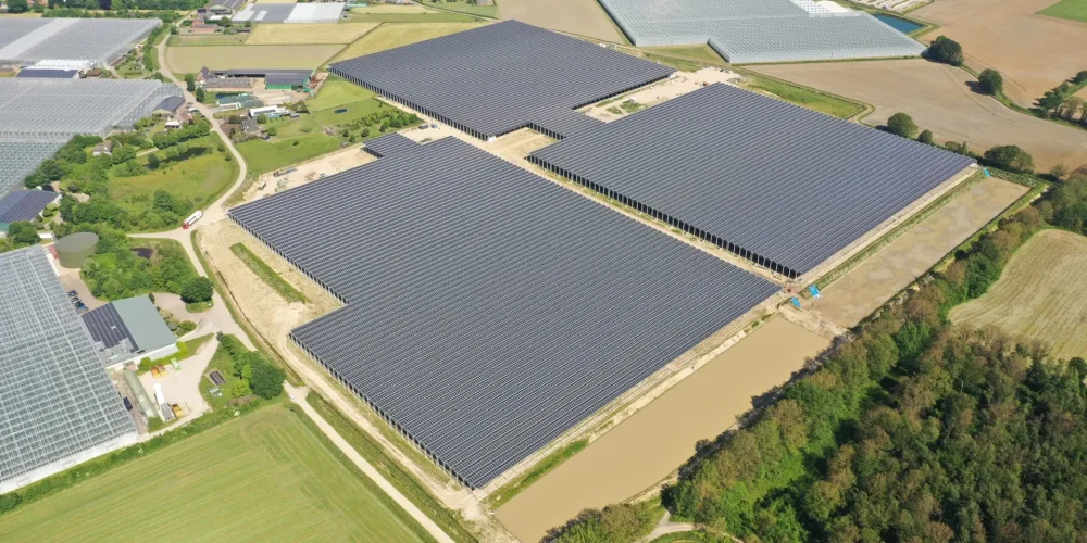 De Schoenmakers Group